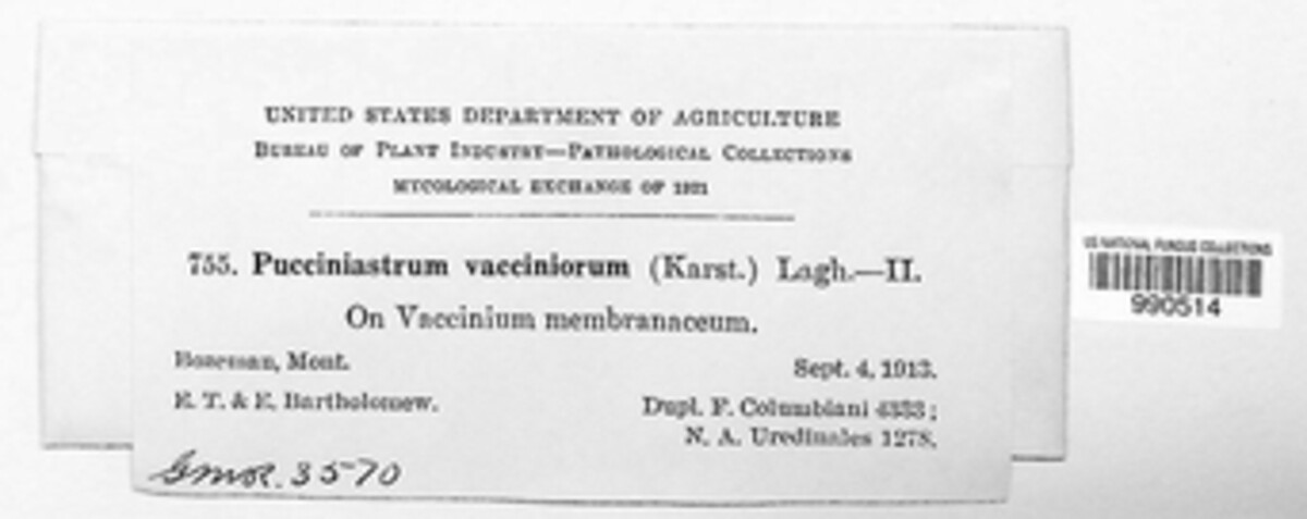 Naohidemyces vaccinii image